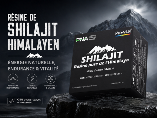 Résine de Shilajit Himalayen : Énergie Naturelle, Endurance & Vitalité