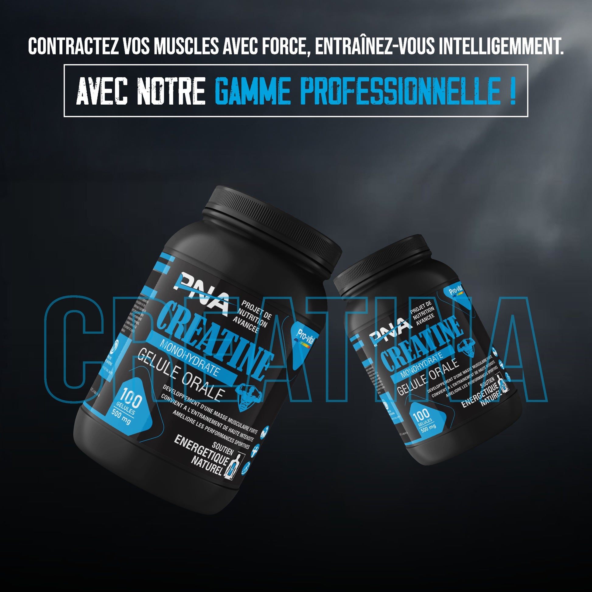 Deux flacons de créatine en gélules Pro-Vital de la gamme professionnelle pour la musculation.