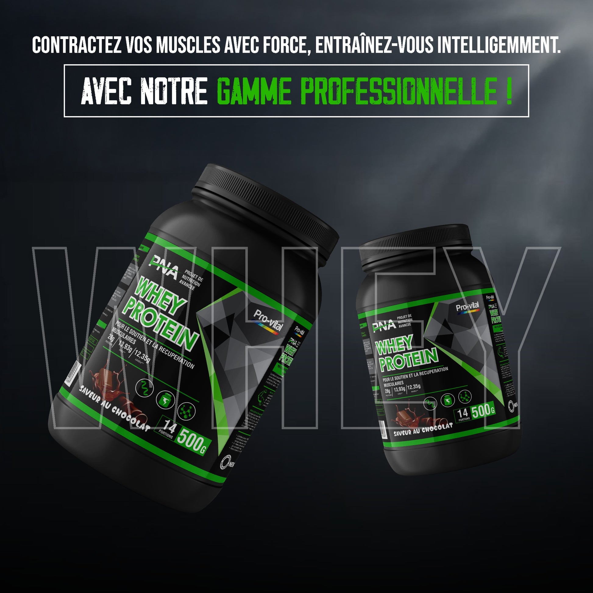 Suppléments de protéine Whey Pro-Vital de gamme professionnelle pour un entraînement intelligent.